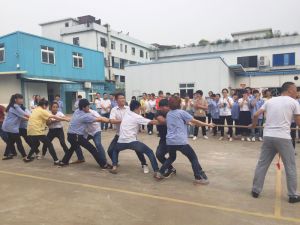 Sports competition